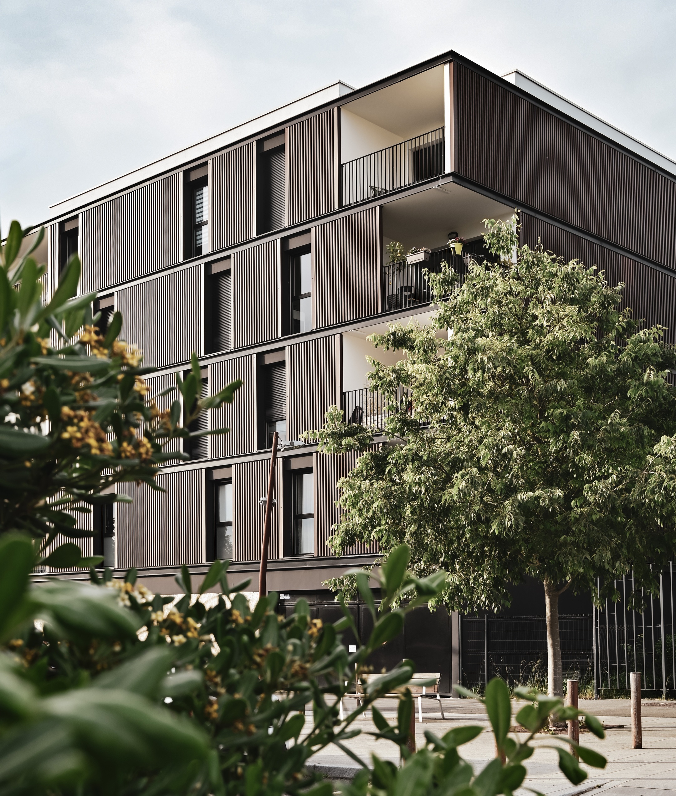 Ariaké • Lot A5b Vidailhan